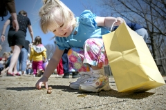 m 0420 egghunt1 raw ct m
7.8 x 6.2
Sierra Coleman, 2, of Waterford has to decide between collecting gold-covered chocolate coins or Accorns sprouting in the volleyball pit at Muskego County Park where the Muskego Lions Club hosted its annual Easter Egg Hunt April 15.