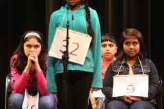 sw_nb_spellingbee1_0121_ct