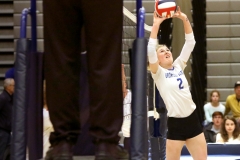 Brookfield Central's Miranda Wucherer sets the ball at the net against Divine Savior Holy Angels in a WIAA sectional final at Brookfield East on Oct. 28.