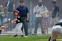 nw_mf_littleleague2_0625_ct